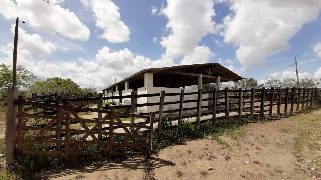 Fazenda, 1 quarto - Foto 16