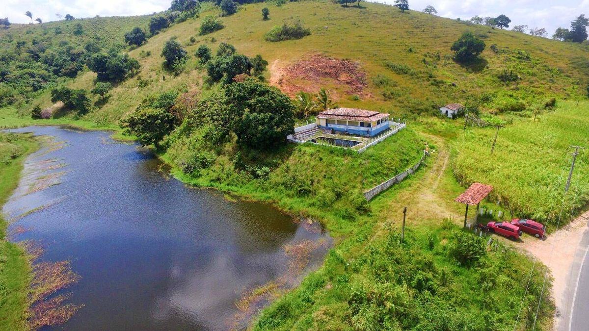 Fazenda, 1945 m² - Foto 3