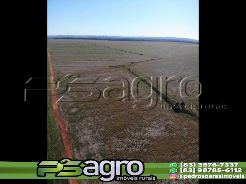 Fazenda-Sítio-Chácara, 13000 hectares - Foto 2
