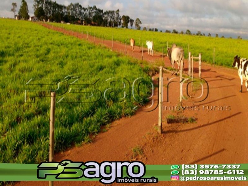 Fazenda-Sítio-Chácara, 469 hectares - Foto 1