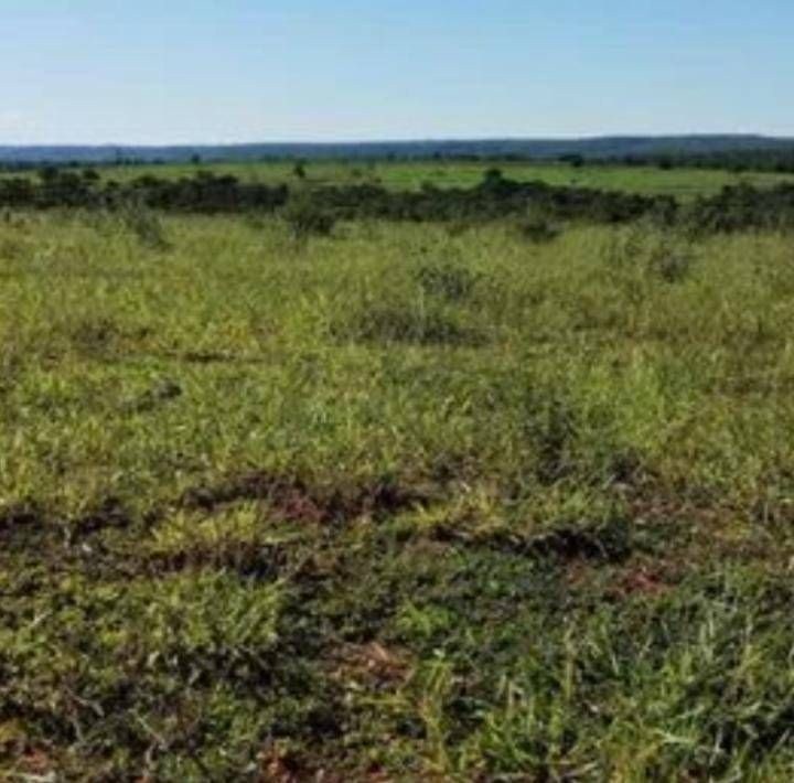 Fazenda - Foto 7