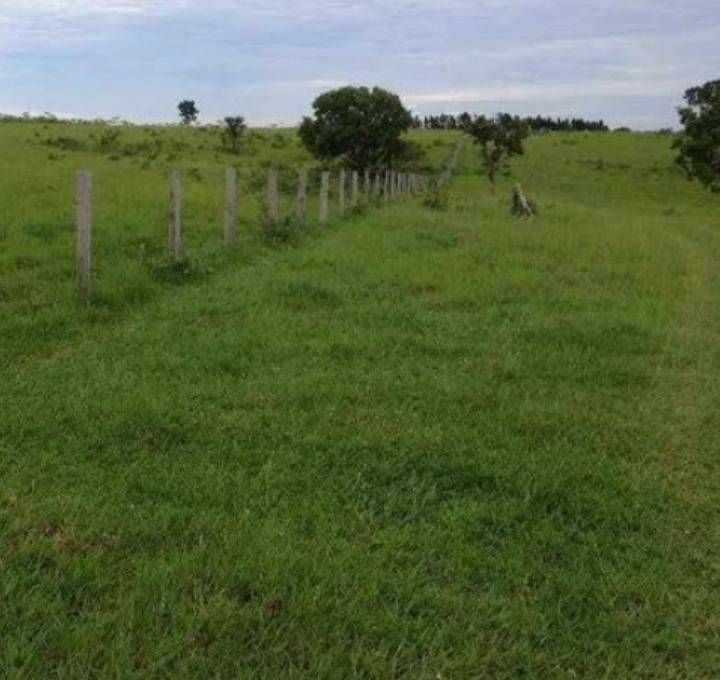 Fazenda - Foto 1