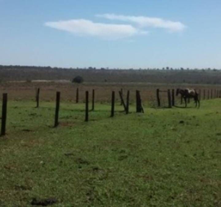 Fazenda - Foto 5