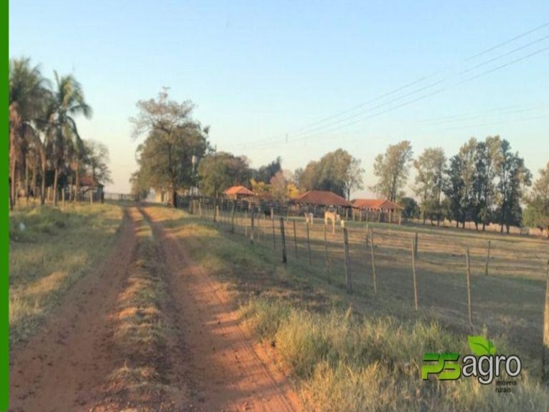 Fazenda-Sítio-Chácara, 465 hectares - Foto 4