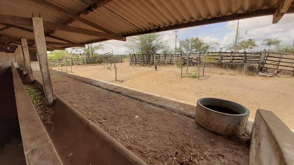 Fazenda, 1 quarto - Foto 29