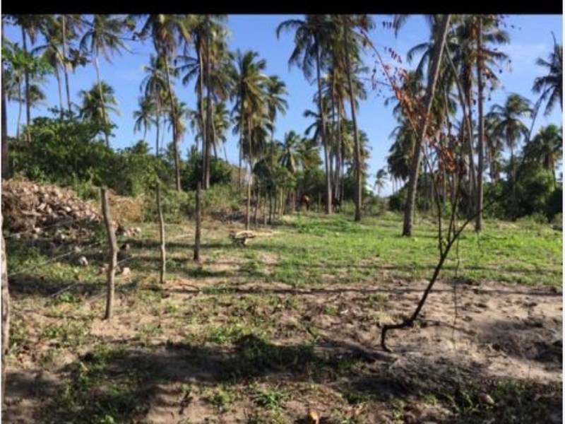 Terreno à venda, 2400m² - Foto 10