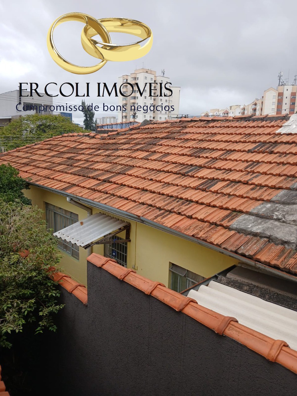 Casa, 4 quartos, 250 m² - Foto 10
