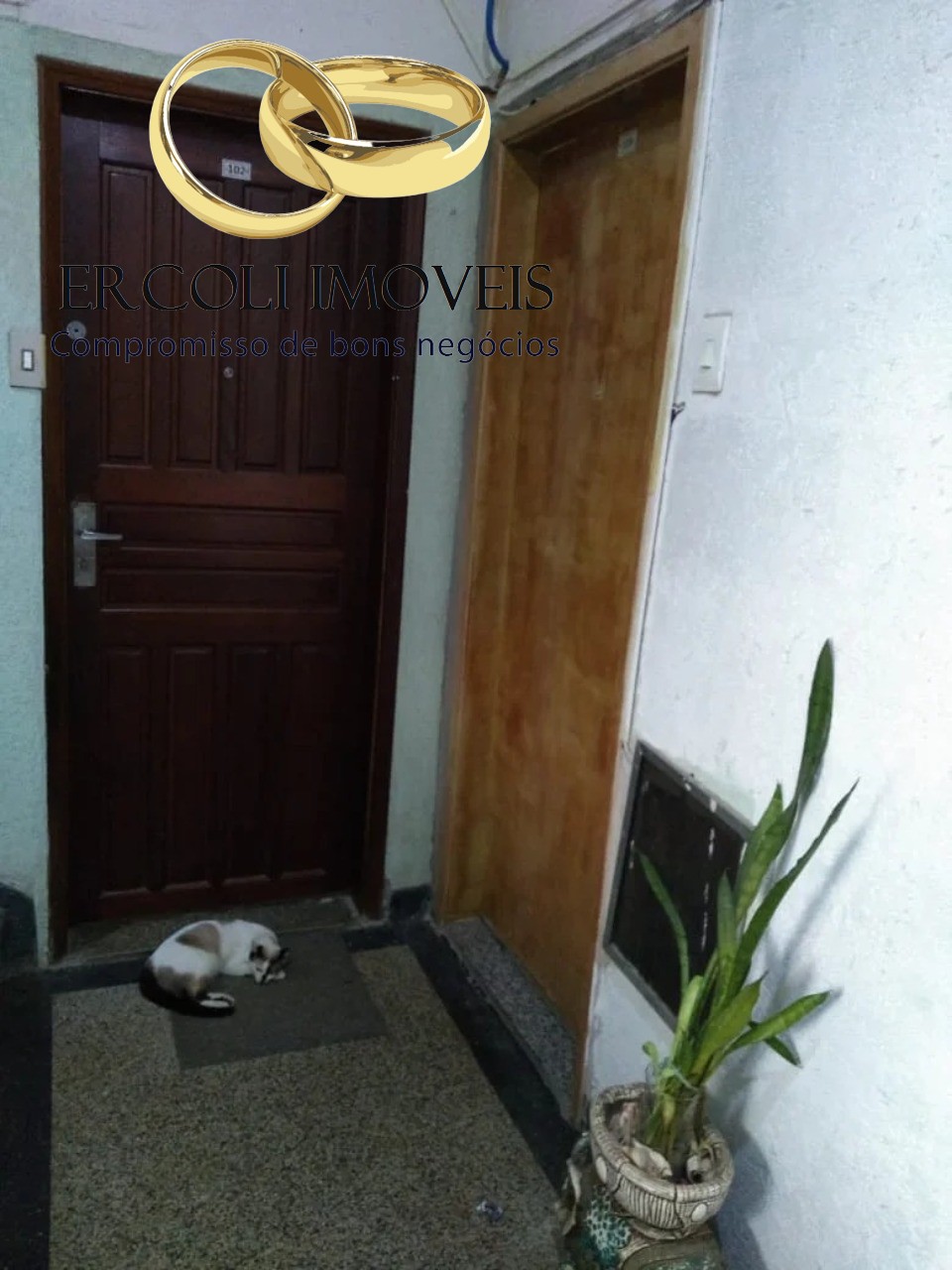 Apartamento, 3 quartos, 80 m² - Foto 19