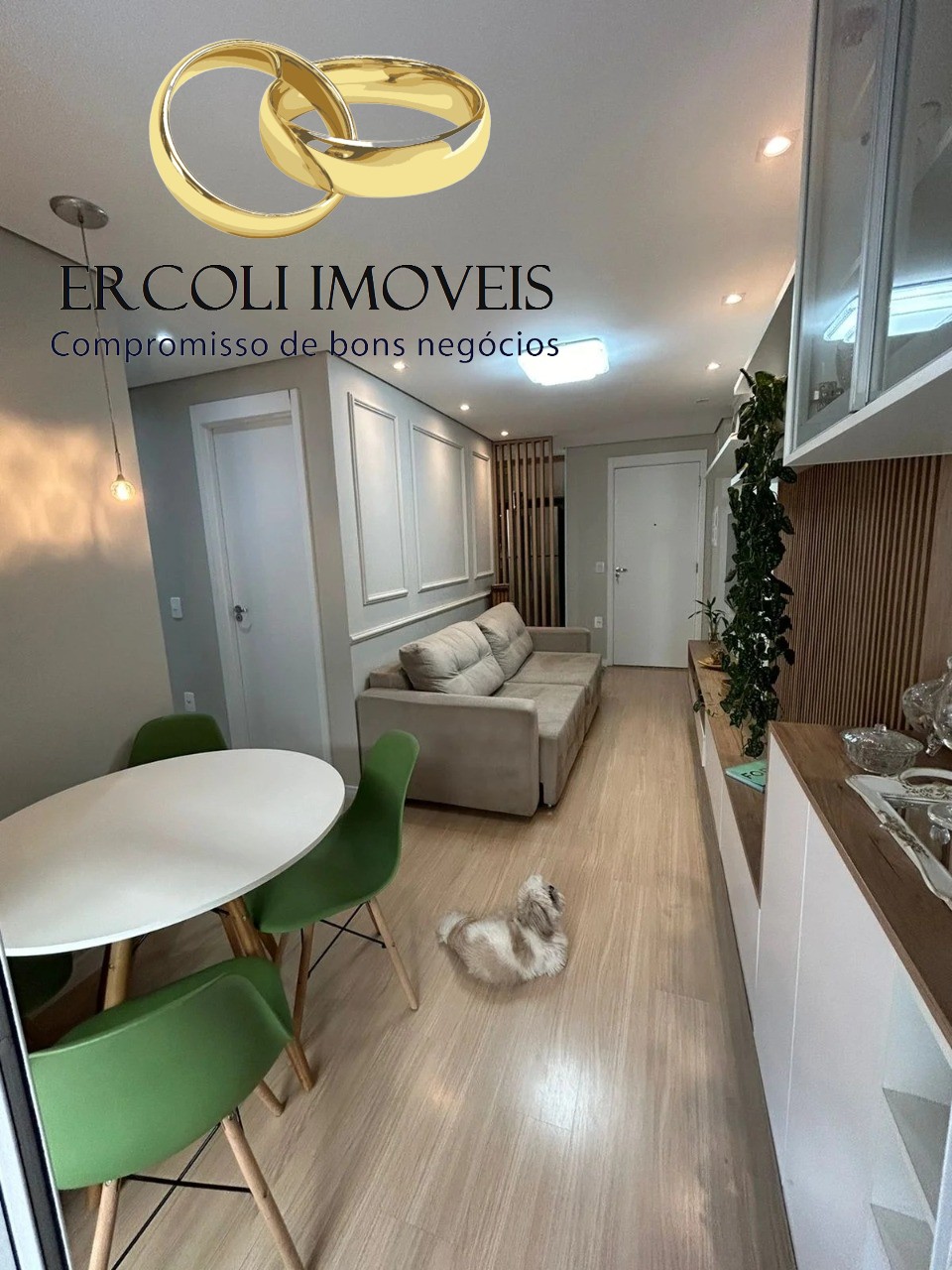 Apartamento, 3 quartos, 66 m² - Foto 20