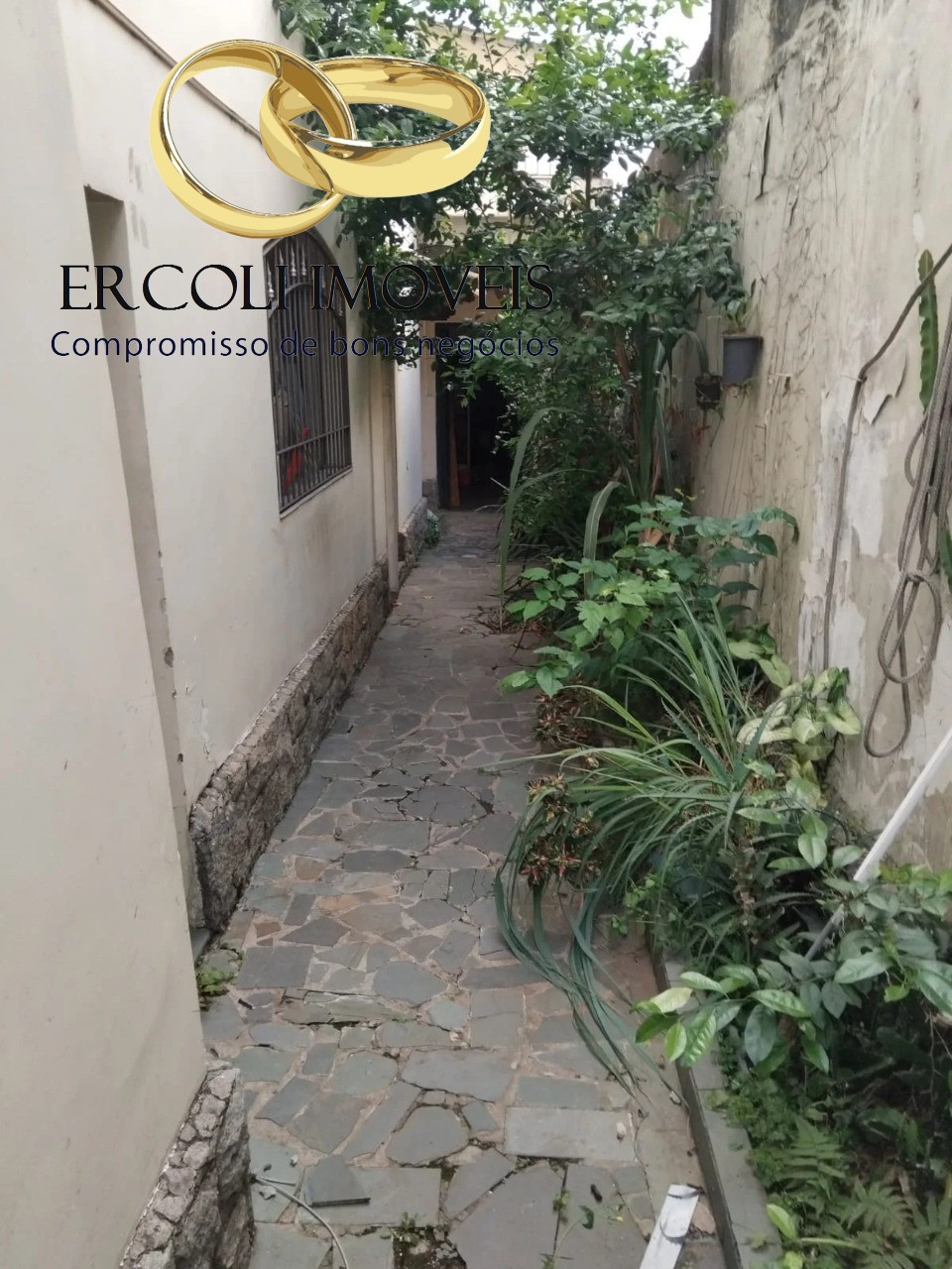 Casa, 4 quartos, 450 m² - Foto 7