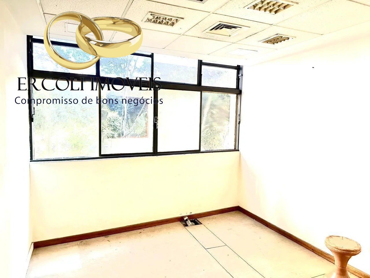 Sala-Conjunto, 600 m² - Foto 14