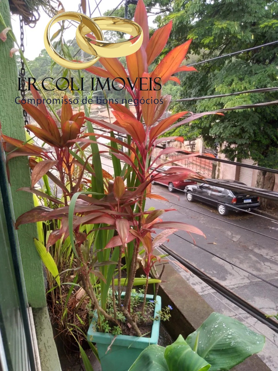 Casa, 3 quartos, 192 m² - Foto 36