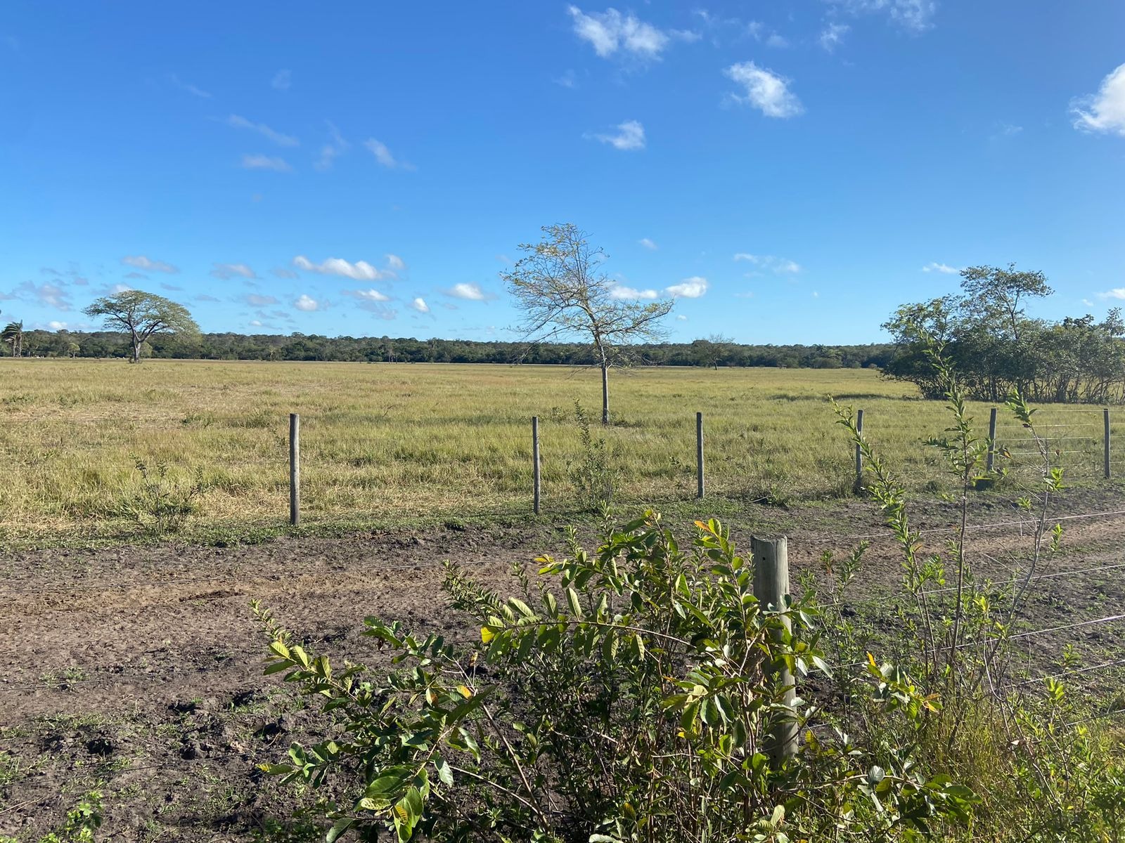 Fazenda à venda com 3 quartos - Foto 10