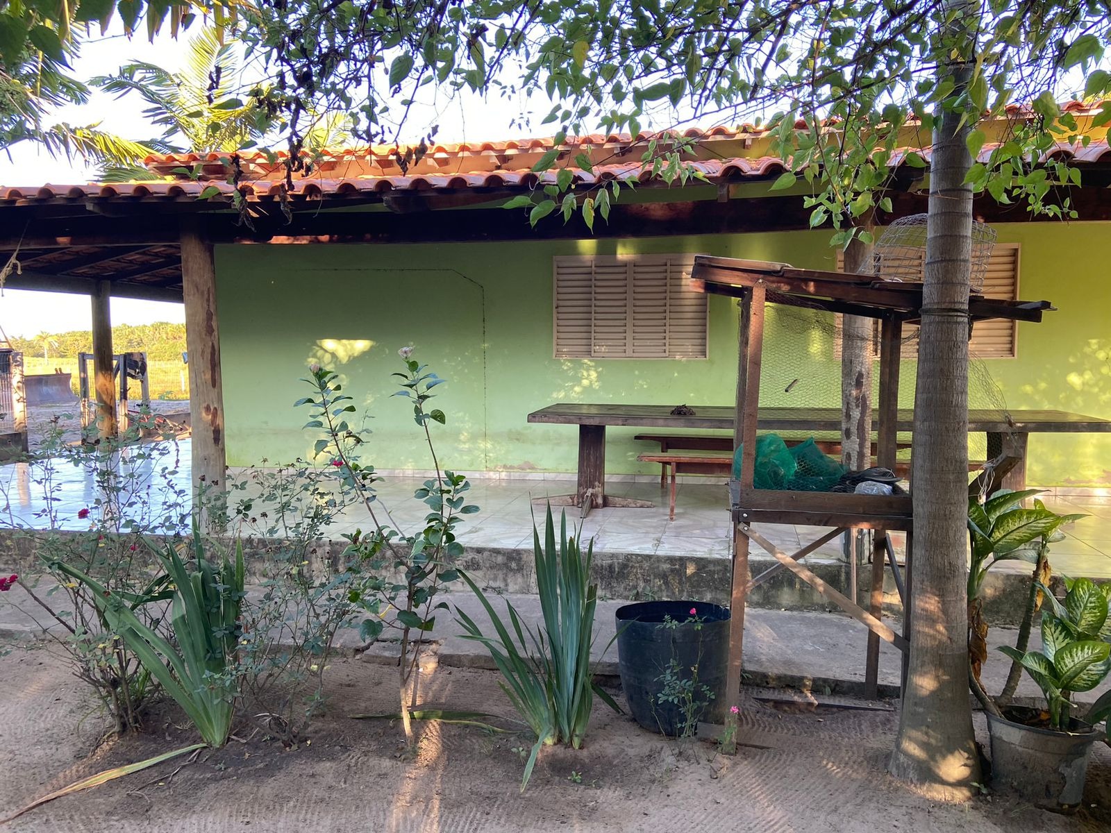 Fazenda à venda com 3 quartos - Foto 6