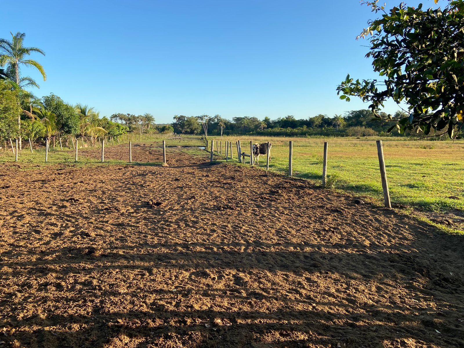 Fazenda à venda com 3 quartos - Foto 4