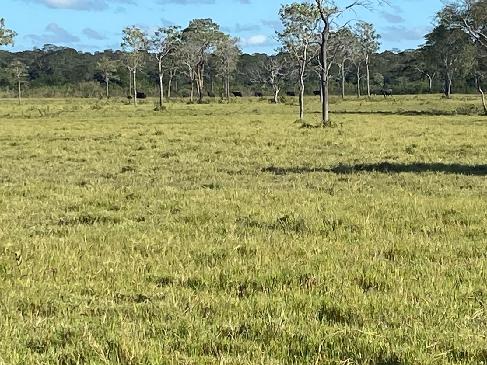 Fazenda à venda com 3 quartos - Foto 8