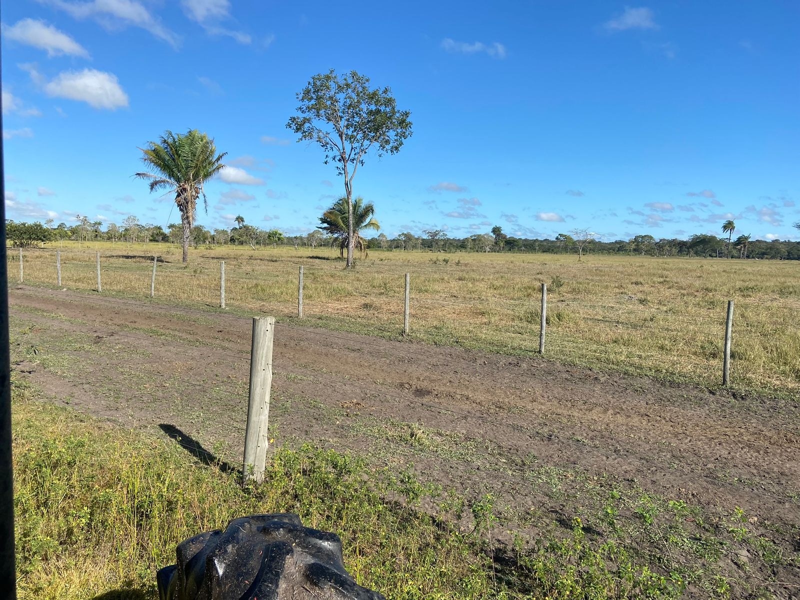 Fazenda à venda com 3 quartos - Foto 9