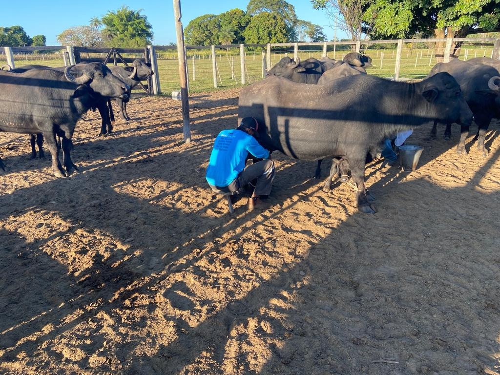 Fazenda à venda com 3 quartos - Foto 18