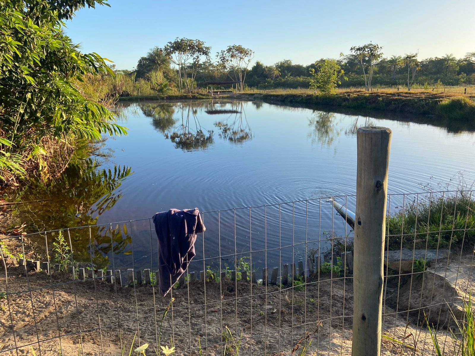 Fazenda à venda com 3 quartos - Foto 1