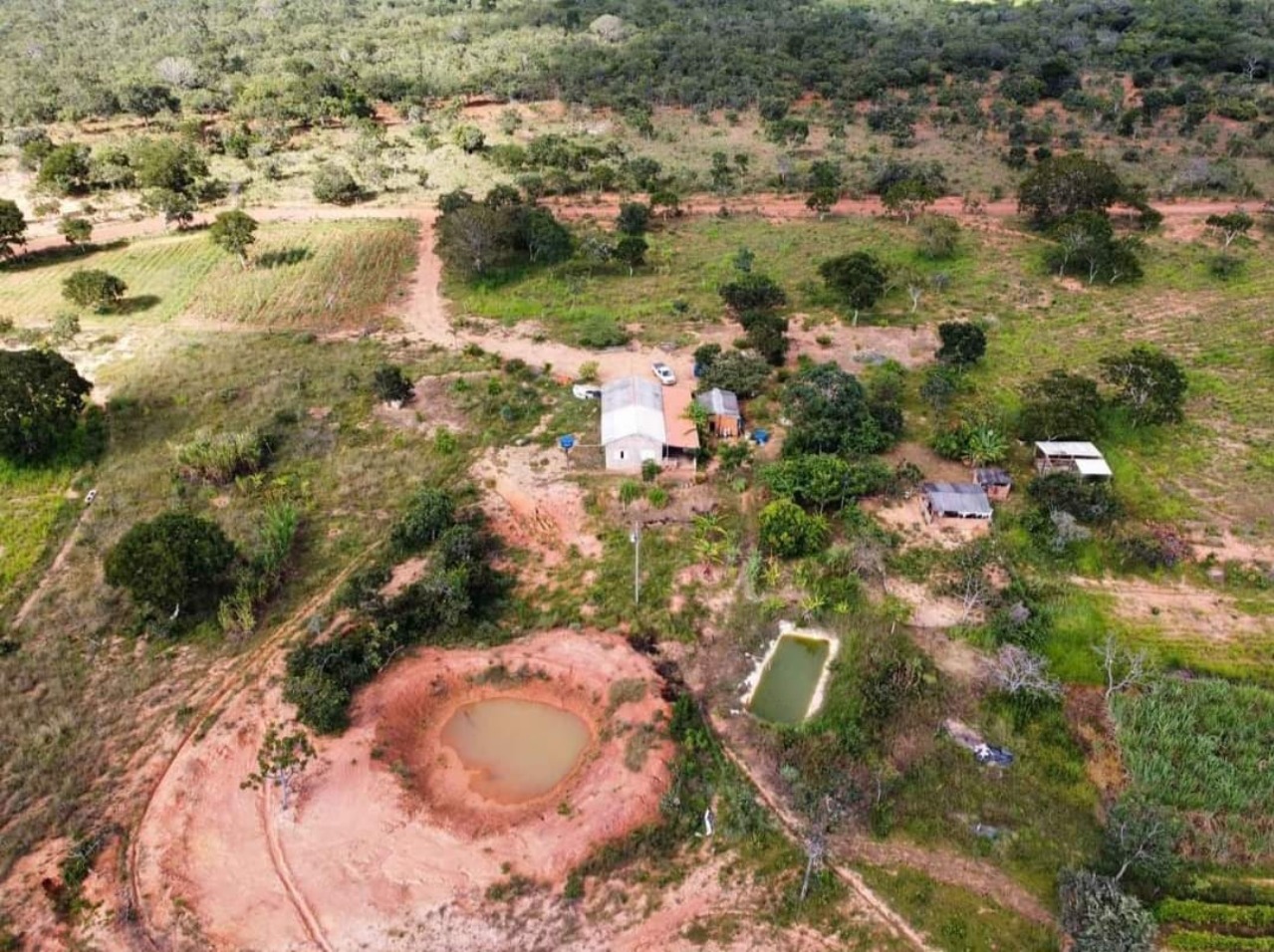 Fazenda à venda - Foto 1