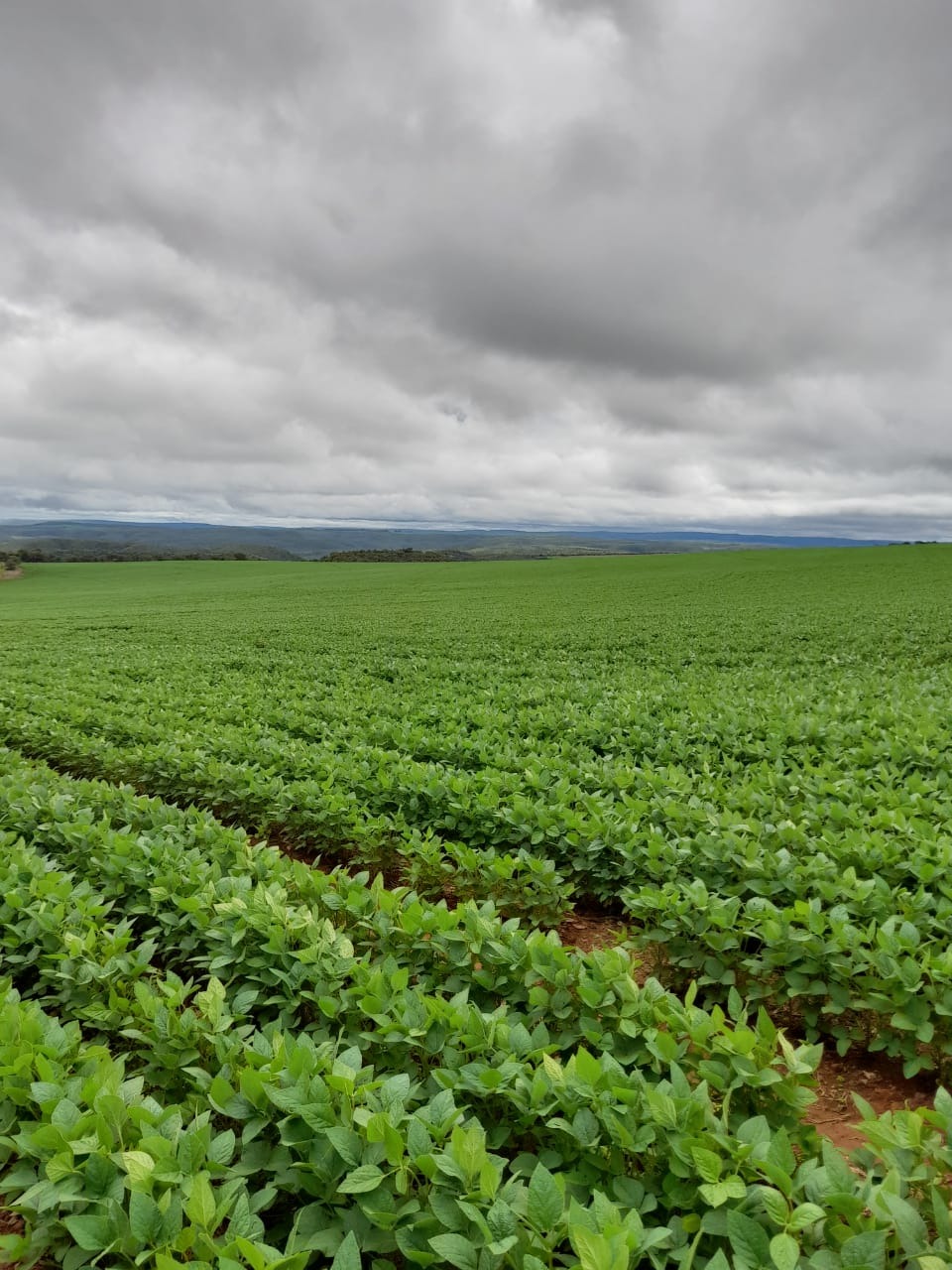 Fazenda à venda, 135m² - Foto 2