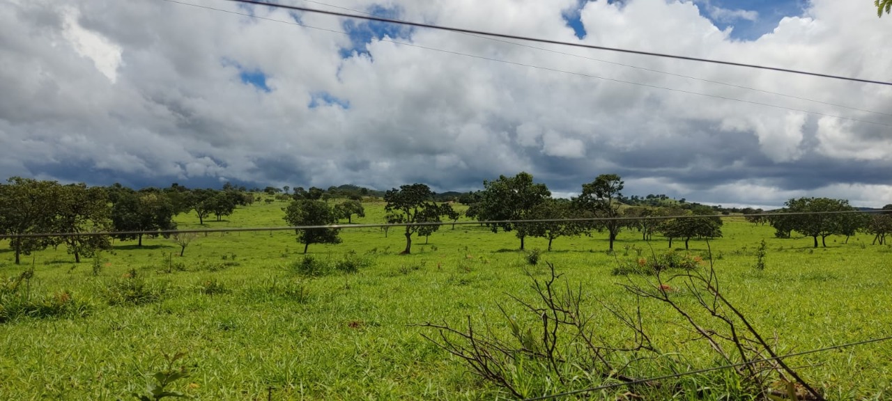 Fazenda à venda, 72m² - Foto 5