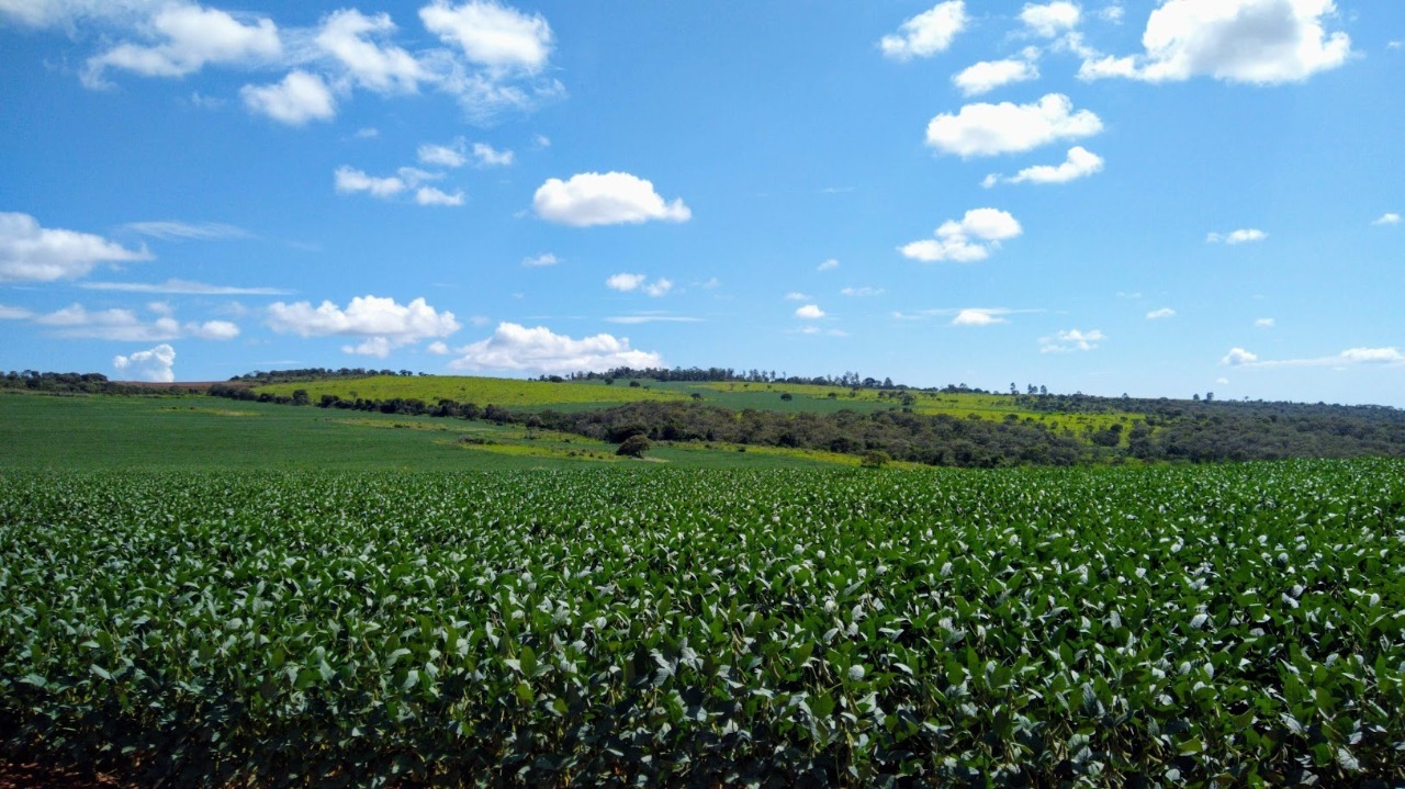 Fazenda à venda, 135m² - Foto 1