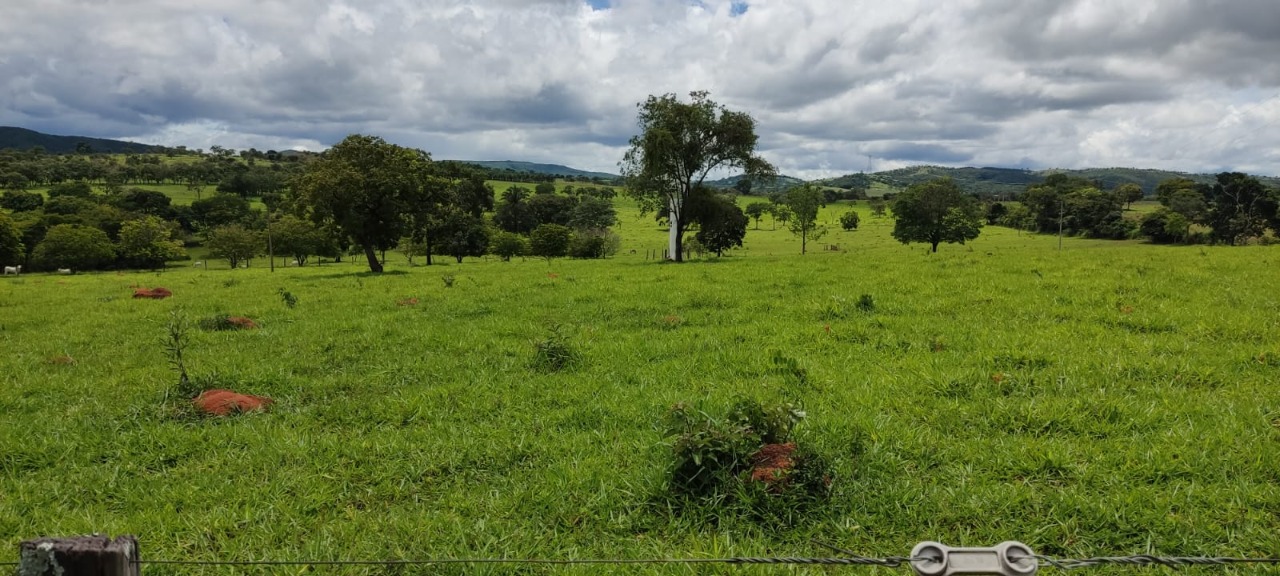 Fazenda à venda, 72m² - Foto 4