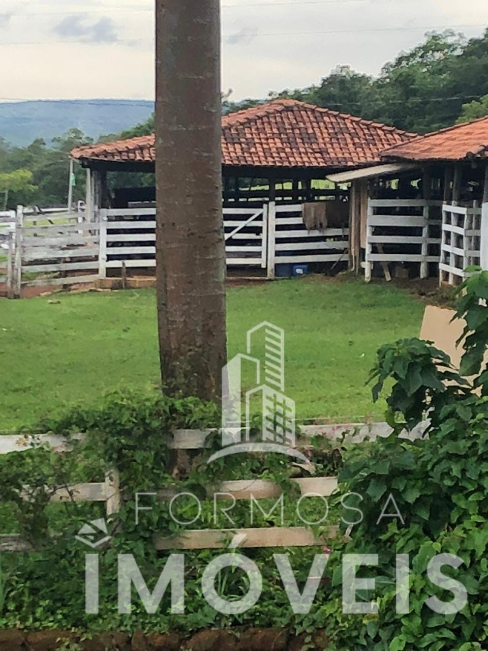 Fazenda à venda, 37m² - Foto 3