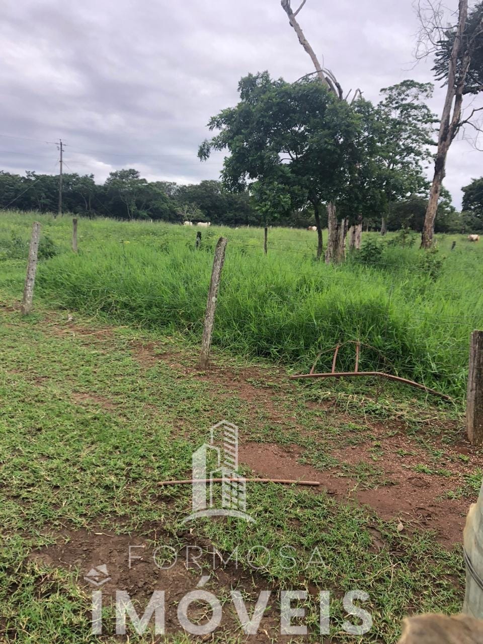 Fazenda à venda, 37m² - Foto 7