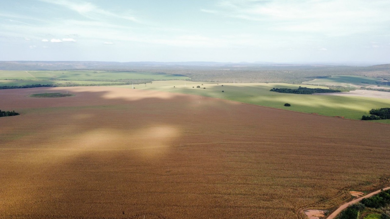 Fazenda à venda, 1470m² - Foto 4