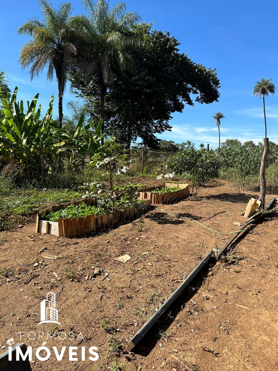 Fazenda à venda com 5 quartos, 96m² - Foto 18