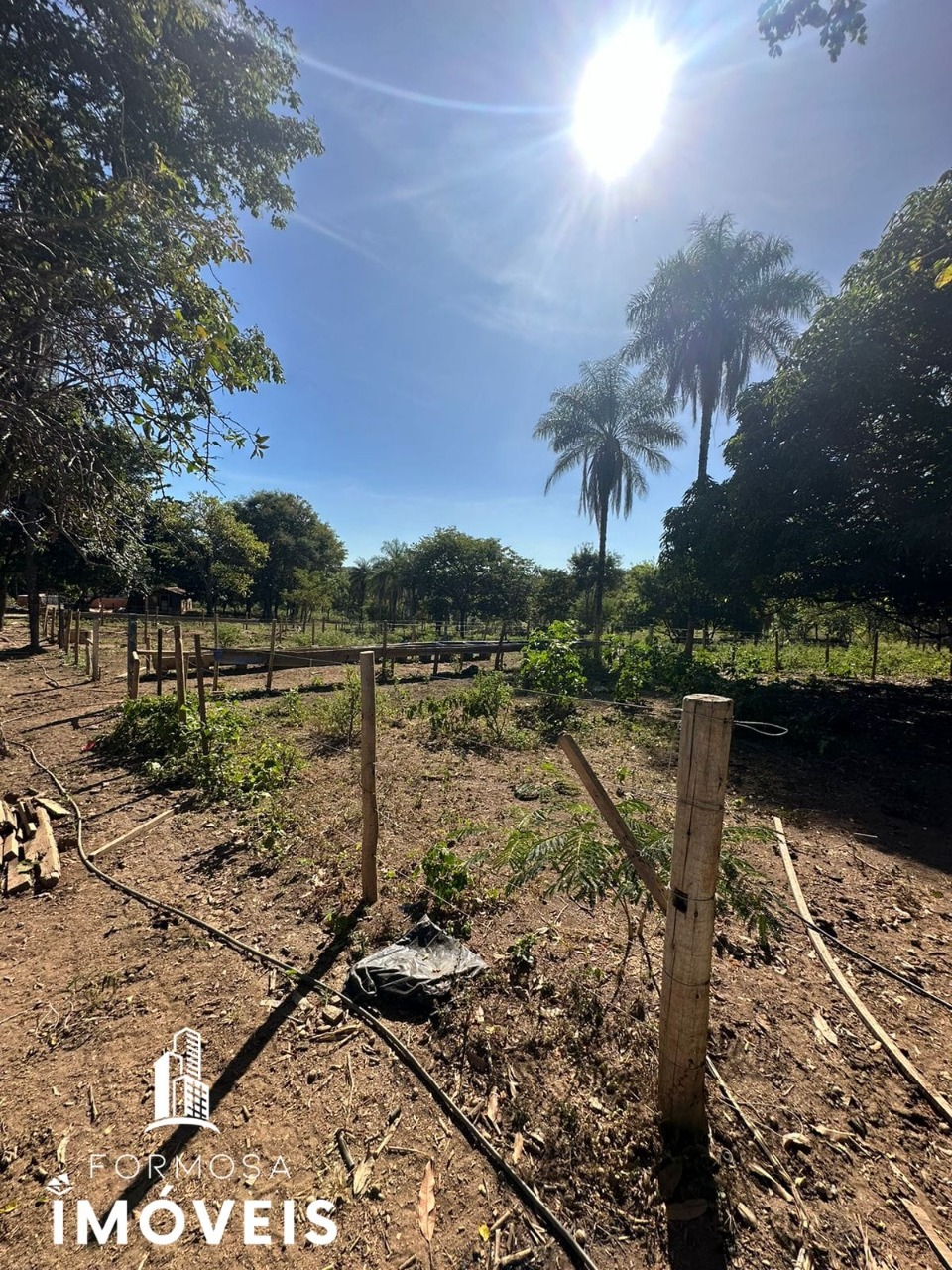 Fazenda à venda com 5 quartos, 96m² - Foto 6