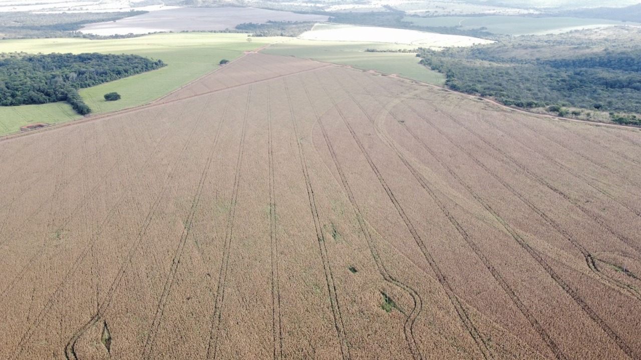 Fazenda à venda, 1470m² - Foto 20