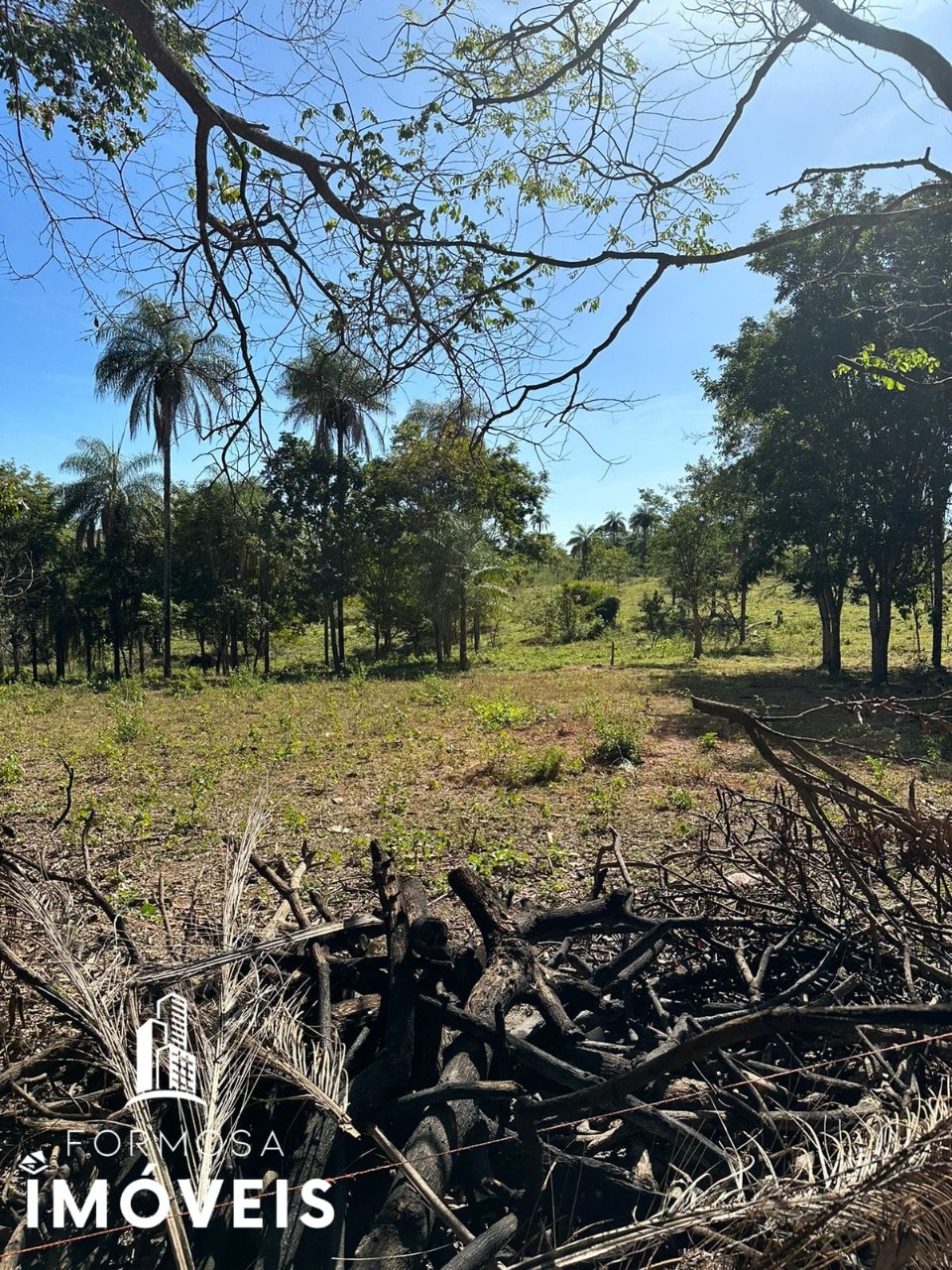 Fazenda à venda com 5 quartos, 96m² - Foto 8