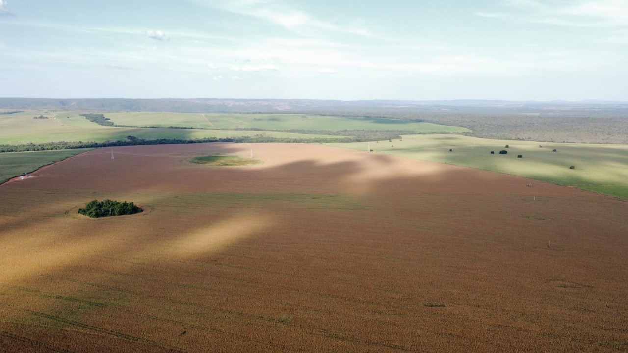 Fazenda à venda, 1470m² - Foto 12