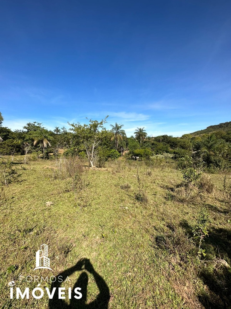 Fazenda à venda com 5 quartos, 96m² - Foto 19