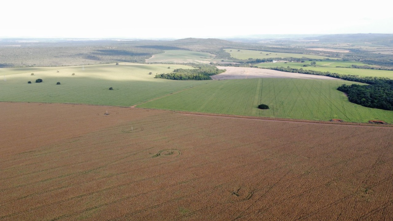 Fazenda à venda, 1470m² - Foto 9