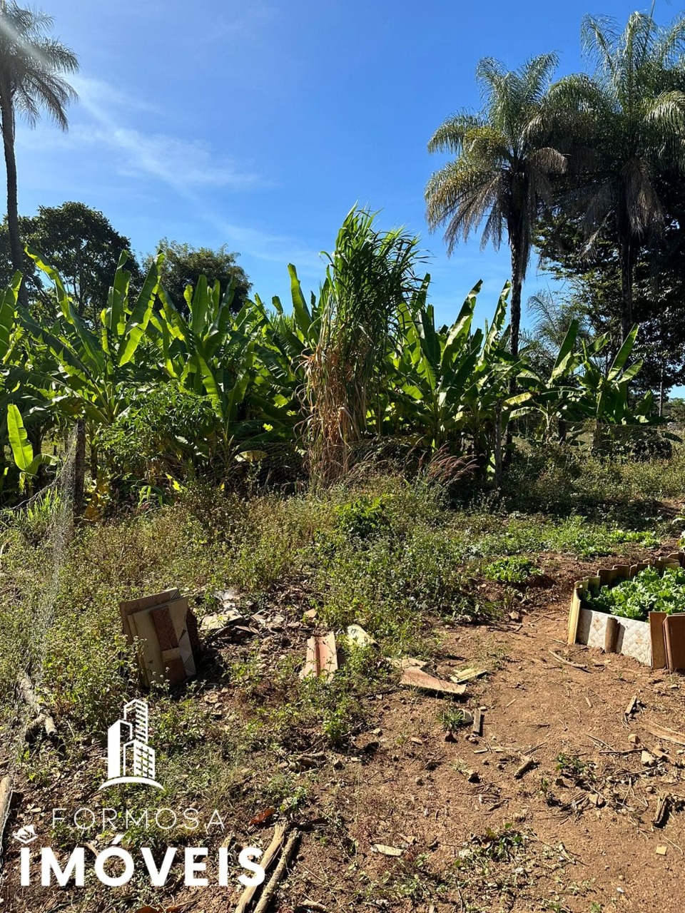 Fazenda à venda com 5 quartos, 96m² - Foto 12