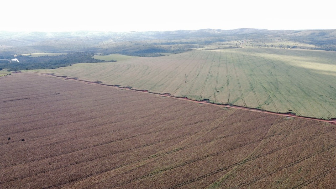 Fazenda à venda, 1470m² - Foto 14