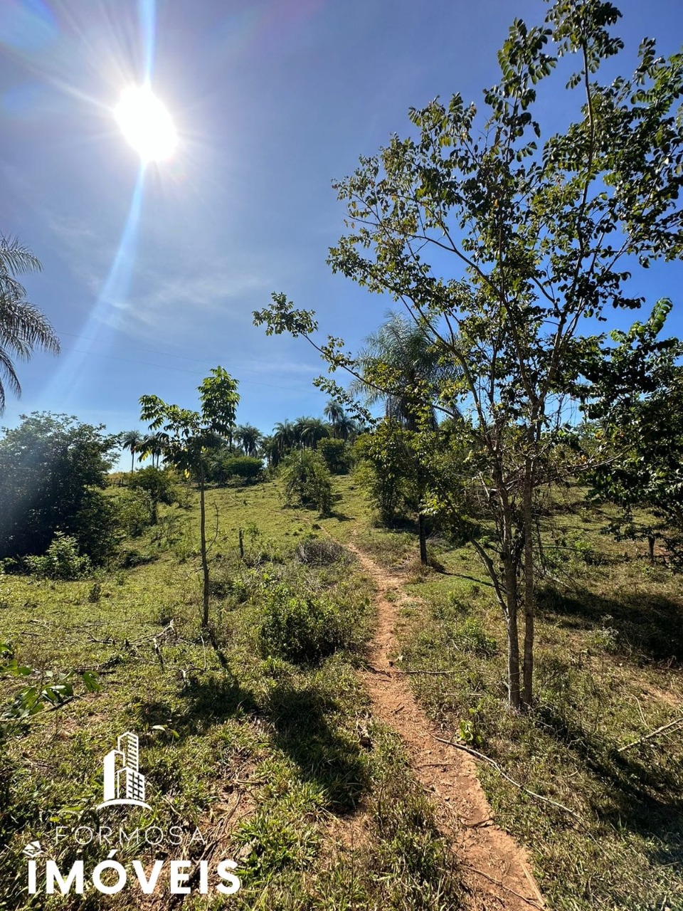 Fazenda à venda com 5 quartos, 96m² - Foto 21