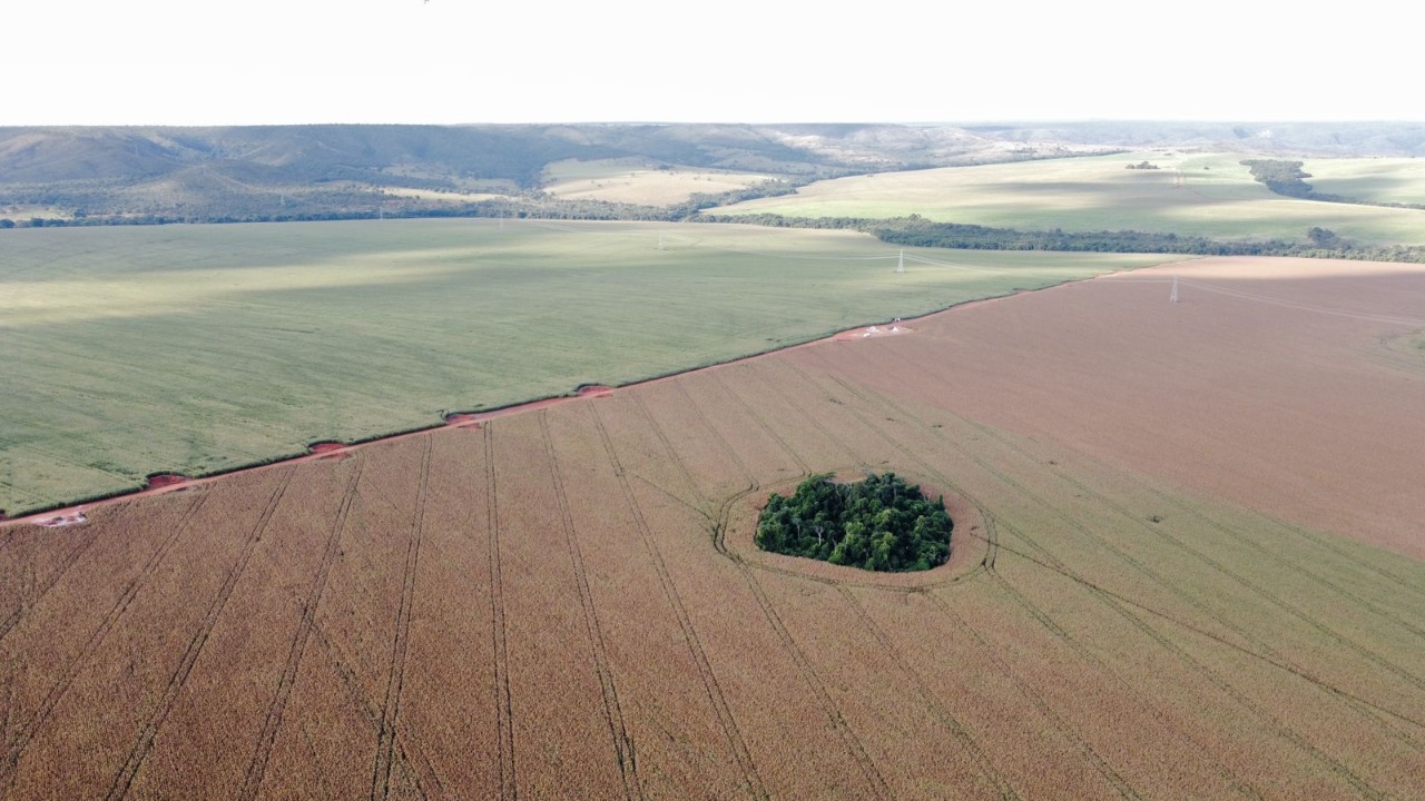 Fazenda à venda, 1470m² - Foto 1