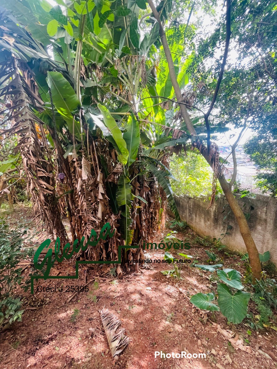Terreno, 3209 m² - Foto 17