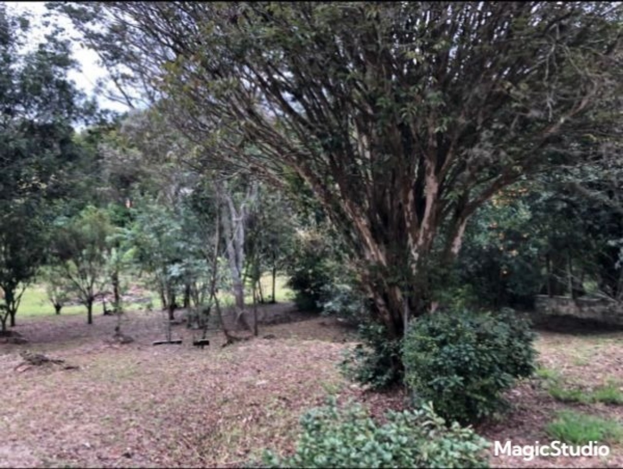 Terreno, 1340 m² - Foto 6
