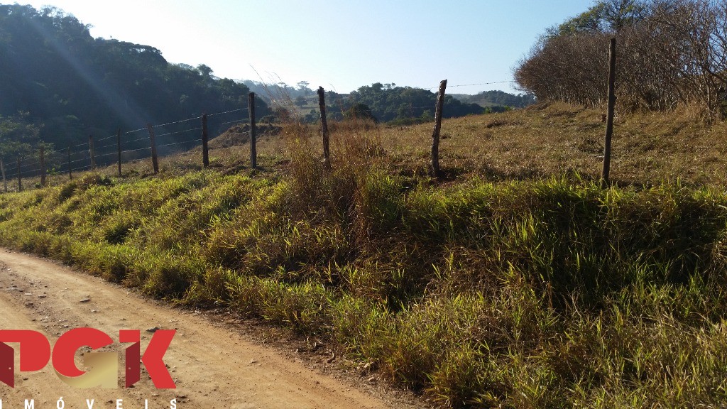 Haras e Área Rural Padrão à venda - Foto 4