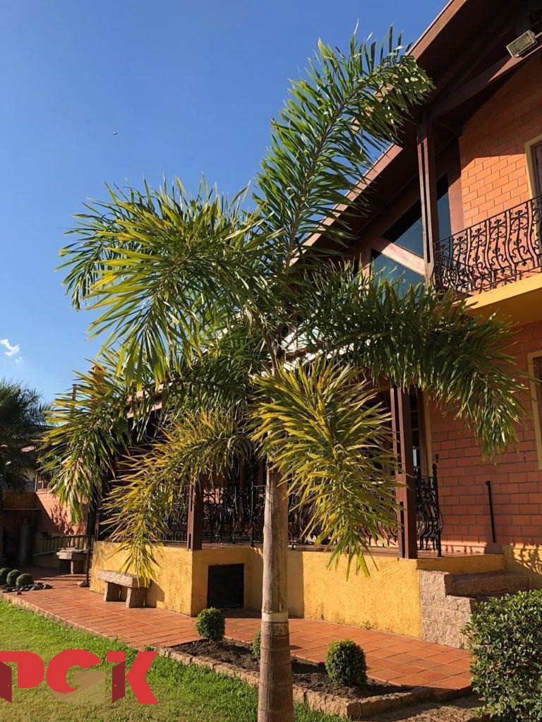 Casa à venda com 3 quartos - Foto 4