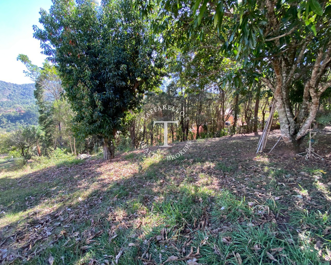 Terreno à venda, 2000m² - Foto 13