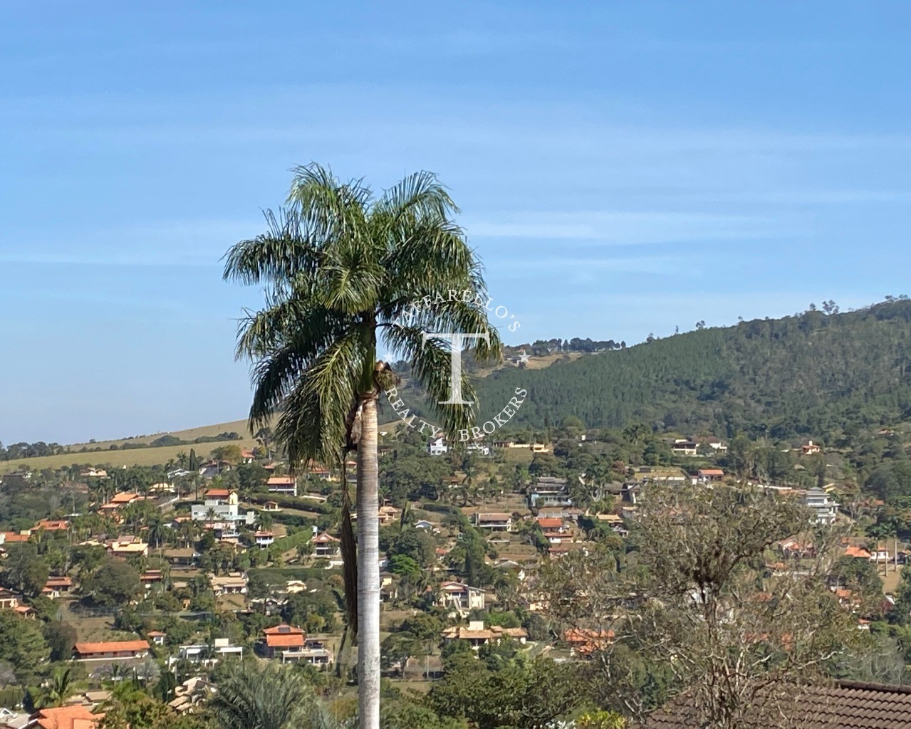 Terreno à venda, 2000m² - Foto 4