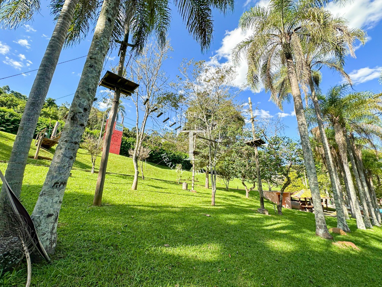 Fazenda à venda com 10 quartos, 2600m² - Foto 37