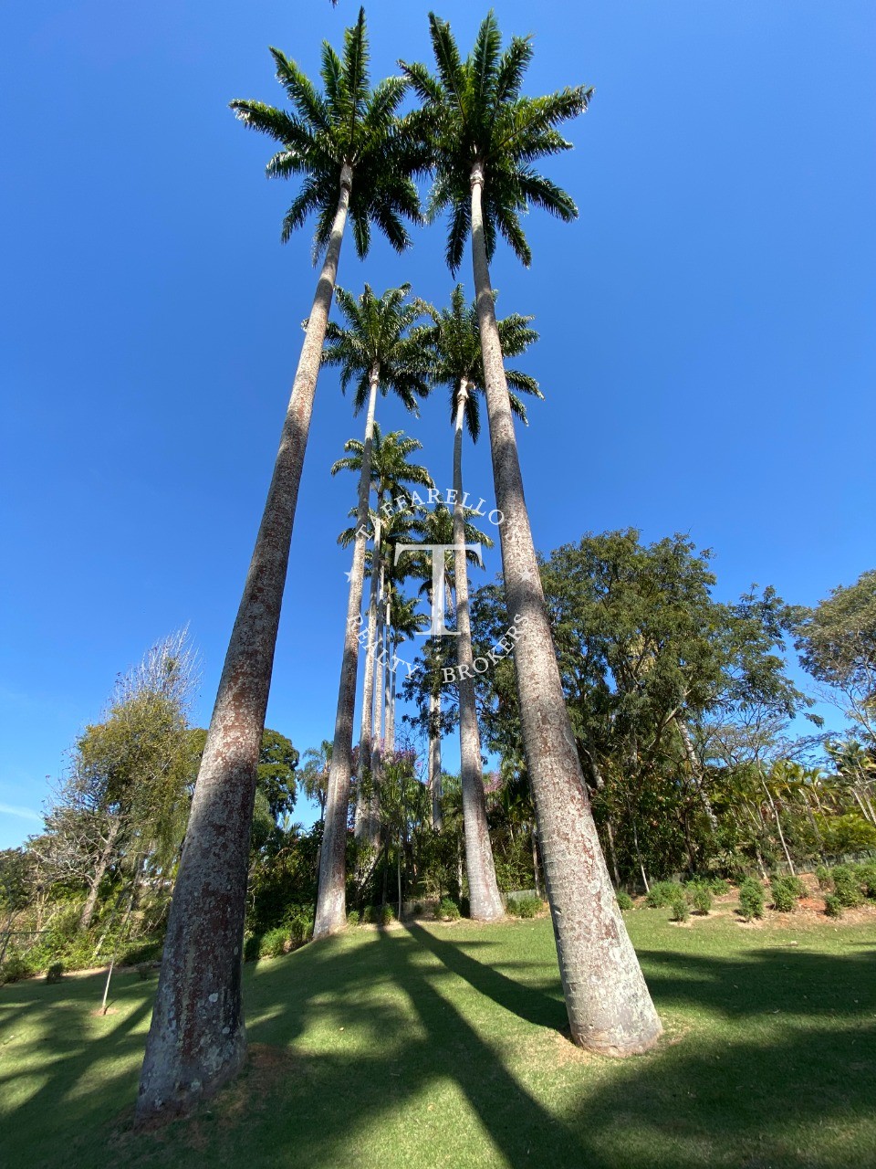 Casa de Condomínio à venda com 4 quartos, 500m² - Foto 79